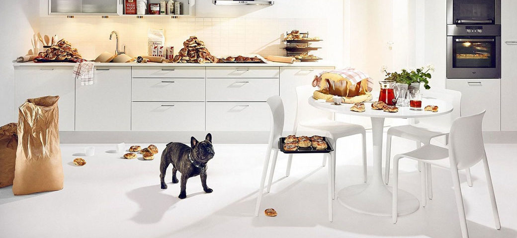 French Bulldog raw diet