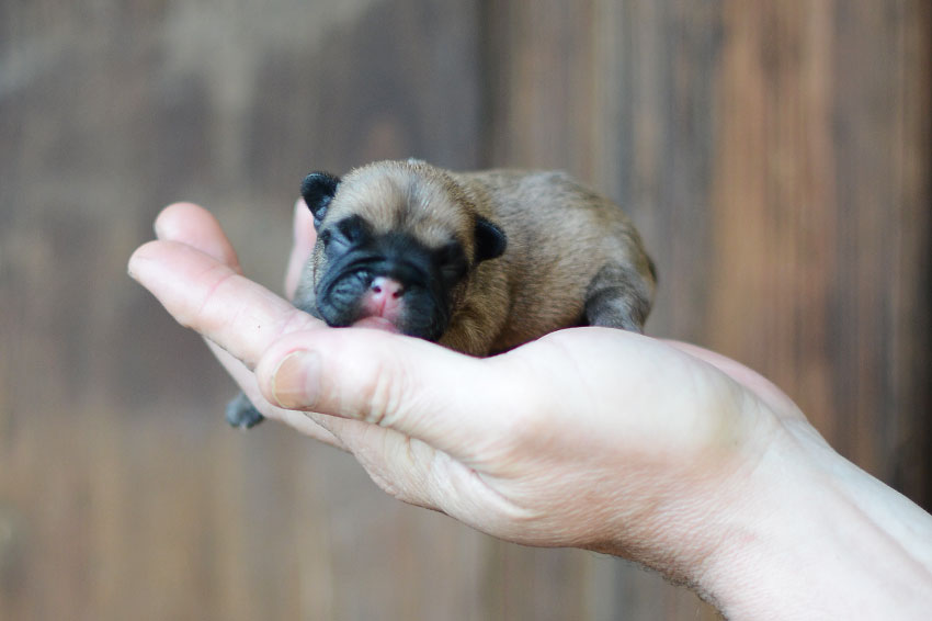We have babies 4