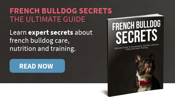 french-bulldog-secrets-book