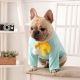 french bulldog clothes