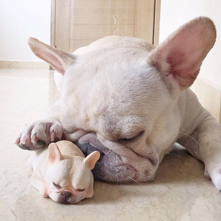 gifts for frenchie moms