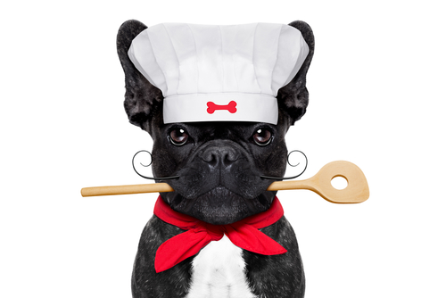 frenchie lifespan