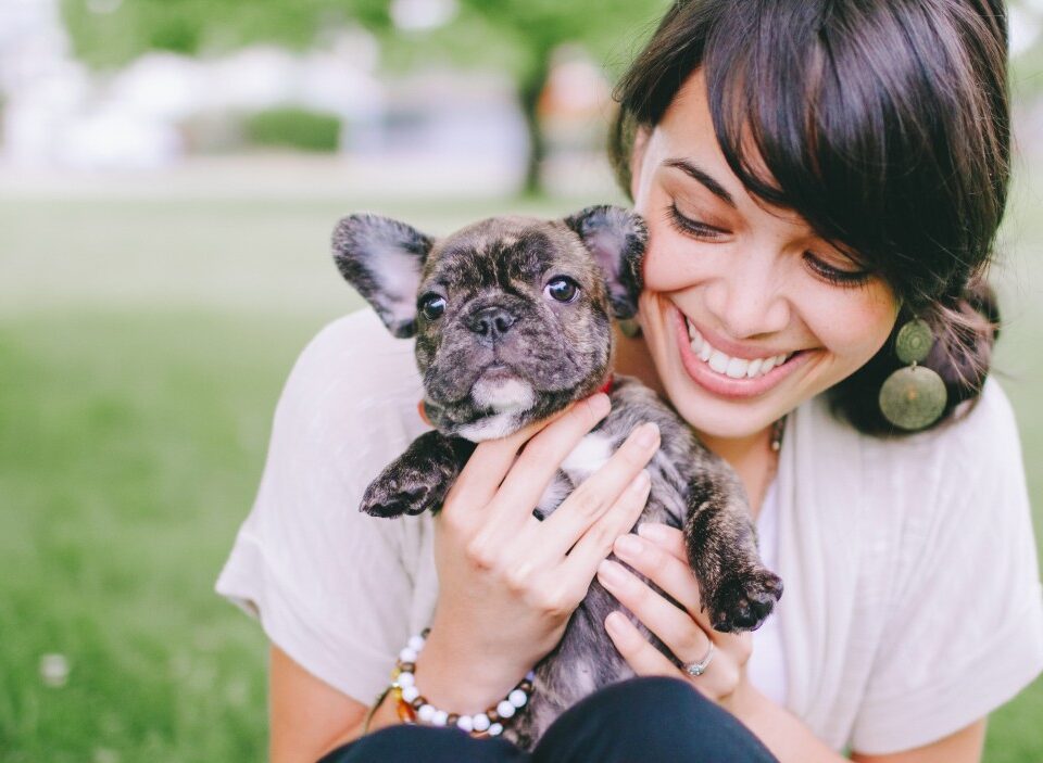 french bulldog t-shirts