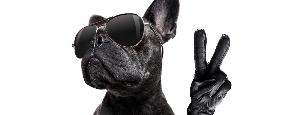 french bulldog gifts