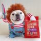 french bulldog halloween costumes